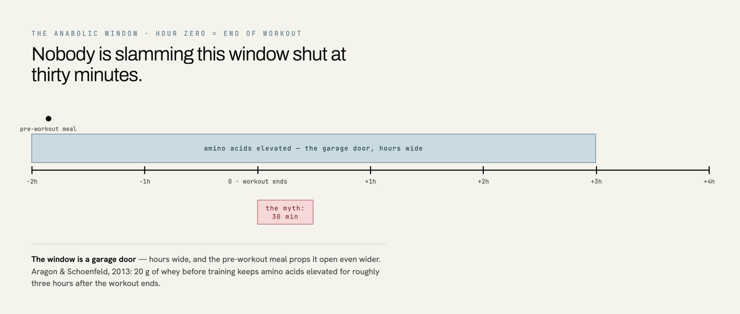 Anabolic window timeline showing the real post-workout window is several hours wide, extended by a pre-workout meal, versus the 30-minute myth