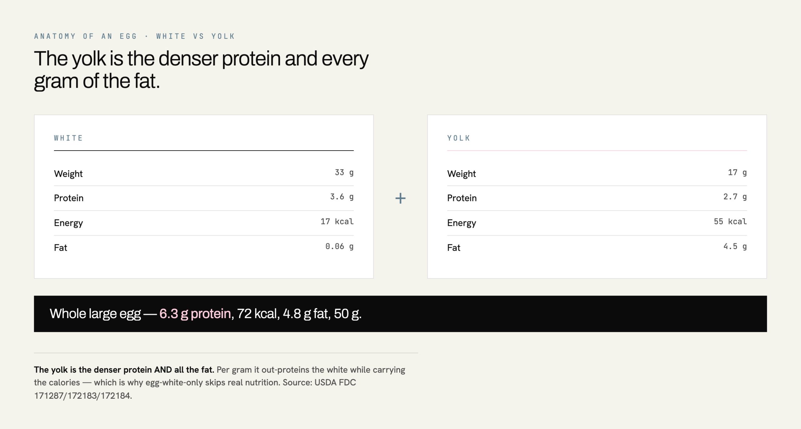 Protein in an egg white versus yolk: a large egg holds 3.6g protein in the 33g white and 2.7g protein in the 17g yolk, 6.3g total