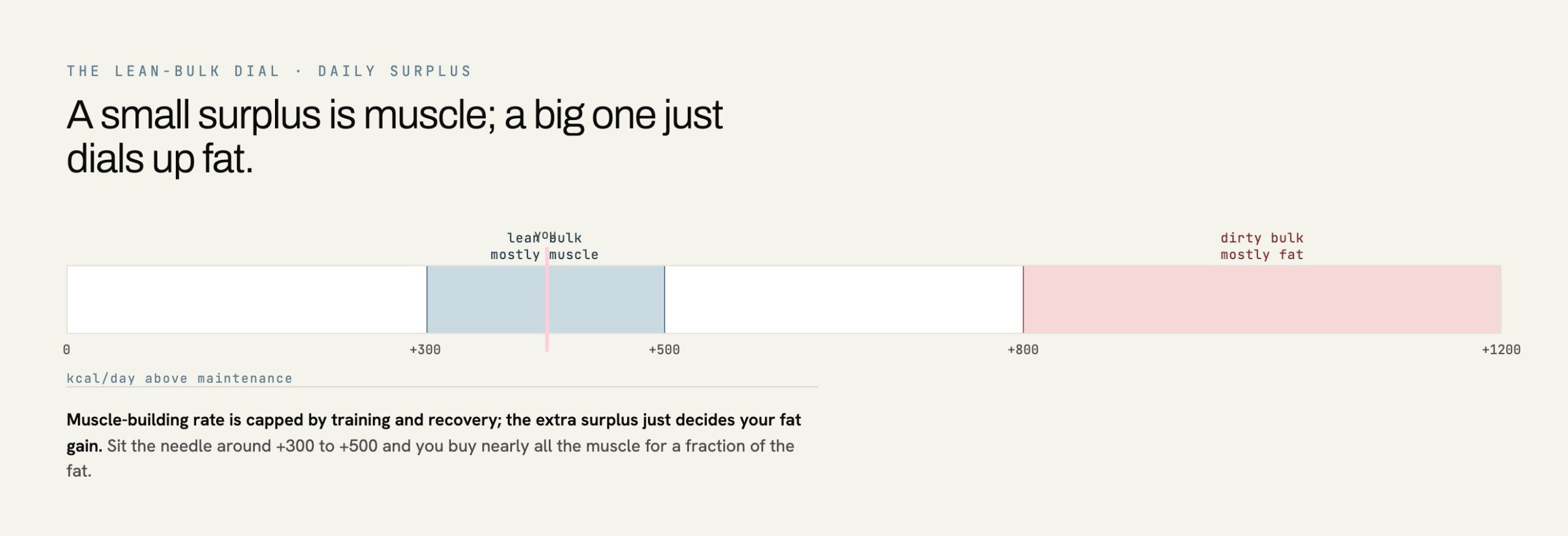 Calorie surplus dial showing the lean bulk zone of 300 to 500 calories builds mostly muscle while a large dirty bulk surplus mostly adds fat